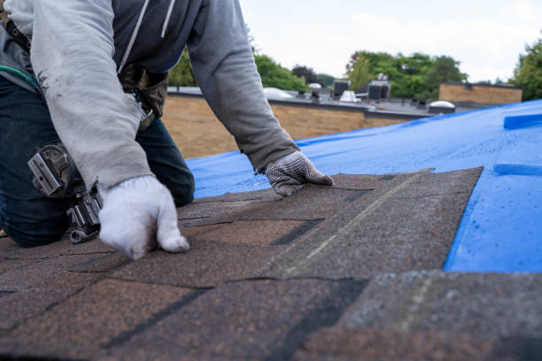 Roof Coating Services in Evergreen, AL